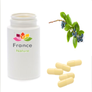 GÉLULES d' Airelle feuille 200 mg