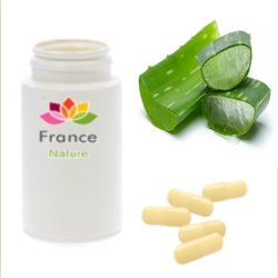 GÉLULES d'Aloès du cap (suc) 220 mg