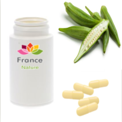 GÉLULES d' Ambrette semence 220 mg