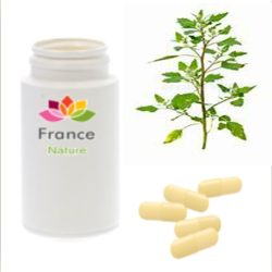 GÉLULES d'Anserine 220 mg