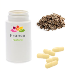 GÉLULES d' Aneth semence 250 mg