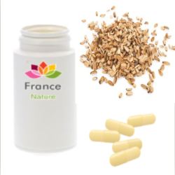 GÉLULES d'Angélique semence 250 mg