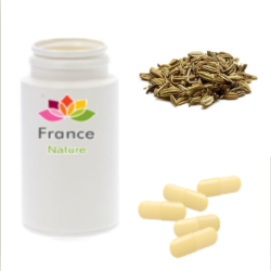 GÉLULES d'Anis vert 250 mg