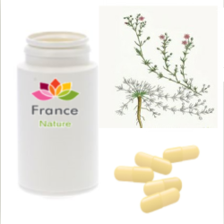 GÉLULES d'Arénaria 250 mg