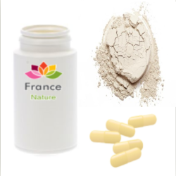 GÉLULES d'Argile blanche 210 mg