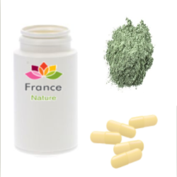 GÉLULES d'Argile verte 300 mg, (argilla)