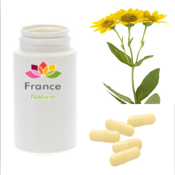 GÉLULES d'Arnica 220 mg