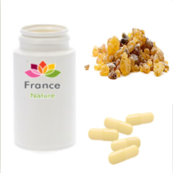 GÉLULES d 'Encens (350 mg), Boswellia serrata