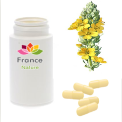 GÉLULES de Bouillon blanc 240 mg