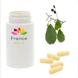 GÉLULES de Bourdaine 200 mg