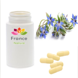 GÉLULES de Bourrache 200 mg