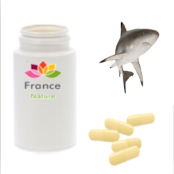 GÉLULES de Cartilage de requin (400 mg)