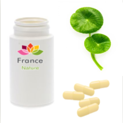 GÉLULES de Centella 250 mg, (Centella asiatica)