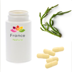 GÉLULES de Christe-marine (200 mg), Chritmum maritimum