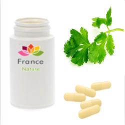 GÉLULES de Coriandre (250 mg), Coriandrum sativum