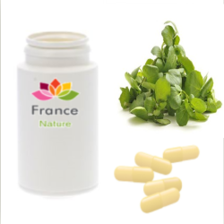 GÉLULES de Cresson (200 mg), Nasturtium officinale