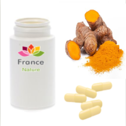 GÉLULE de Curcuma (300 mg), Curcuma aromatica