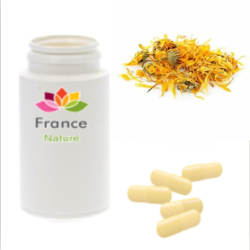 GÉLULES de Damiana (200 mg), Turnera diffusa