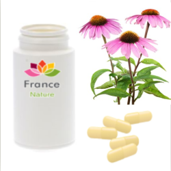 GÉLULES de Echinacéa (300 mg), Echinacea angustifolia