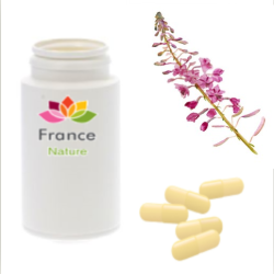 GÉLULES d' Epilobe (220 mg), Epilobium parviflorum