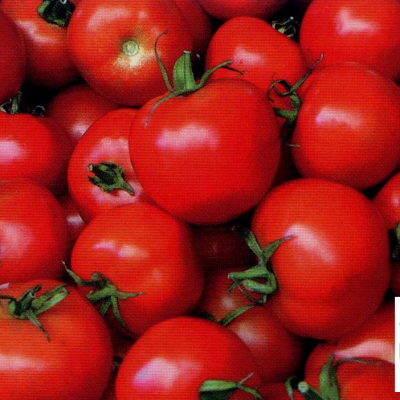 HUILE VÉGÉTALE de Tomate (Lycopersicon esculentum) BIO